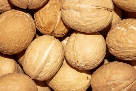 Walnuts in a shell top view.Walnut background close-up.Whole walnuts top view. Stock Photos