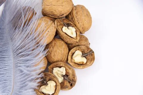 Walnuts in a shell on a white background. Healthy nuts. Stock Photos