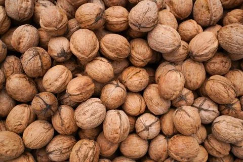 Walnuts with shells. Background of fresh walnuts Foto stock