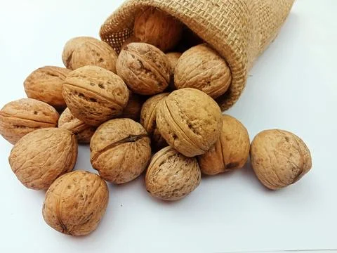 Walnuts spilling from burlap sack Stock Photos