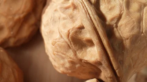 The walnut's surface at a microscopic level Stock Footage 244058072