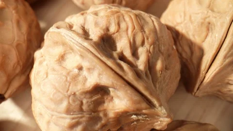 The walnut's surface at a microscopic level Stock Footage 244058087