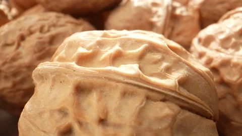 The walnut's surface at a microscopic level Stock Footage 244058153
