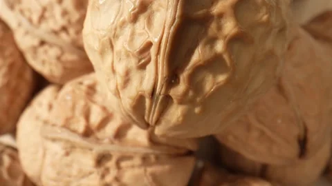 The walnut's surface at a microscopic level Stock Footage 244058197