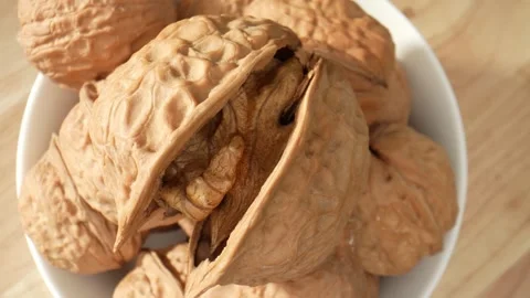 The walnut's surface at a microscopic level Stock Footage 244058325