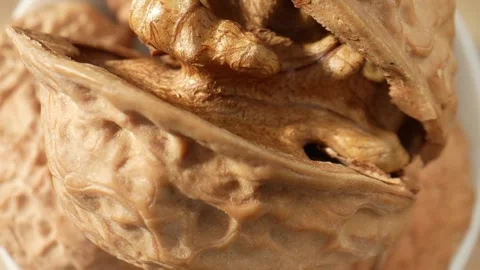 The walnut's surface at a microscopic level Stock Footage 244058416