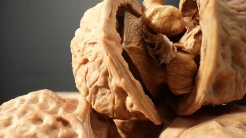 The walnut's surface at a microscopic level Stock Footage 244058549