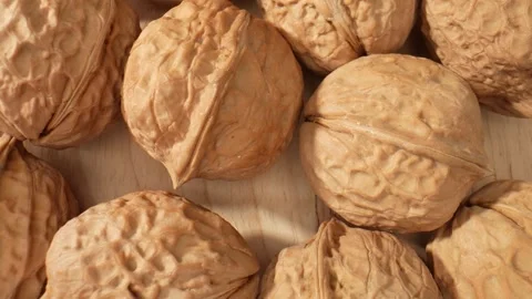 The walnut's surface at a microscopic level Stock Footage 244058593
