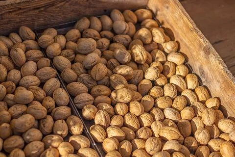 Walnuts in their shells Stock Photos