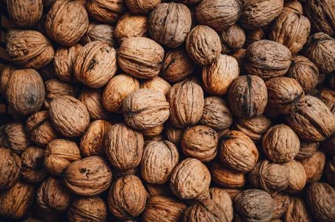 Walnuts, top down view of a large number of nuts. Stock Photos