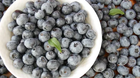 Walnuts on a tree in the garden. Stock Footage 302920432