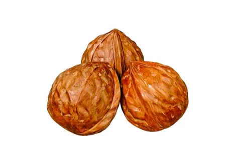 Walnuts from a tree, isolated 스톡 사진