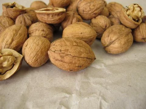 Walnuts of various sizes from different trees Stock Photos