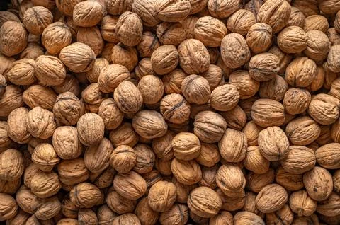 Walnuts, view of a large number of nuts, top down view. Foto stock