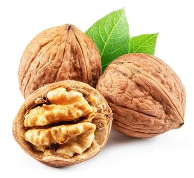 Walnuts, walnut kernel and green leaves isolated on white background. Stock Photos
