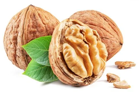 Walnuts, walnut kernel and green leaves isolated on white background. Stock Photos
