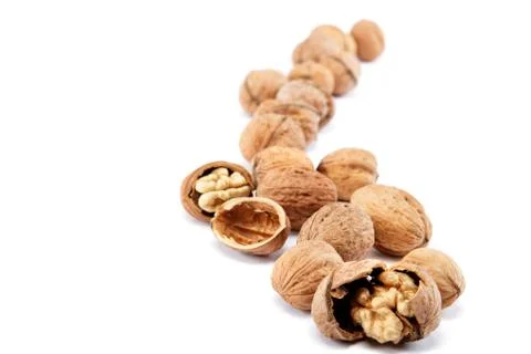 Walnuts on a white background. Stock Photos
