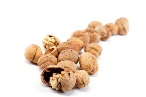 Walnuts on a white background. Stock Photos