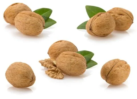Walnuts on white background Stock Photos
