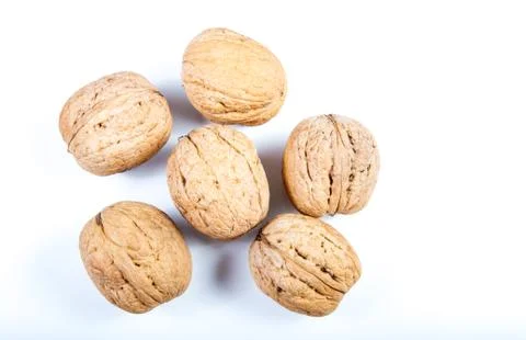 Walnuts on a white background . Stock Photos
