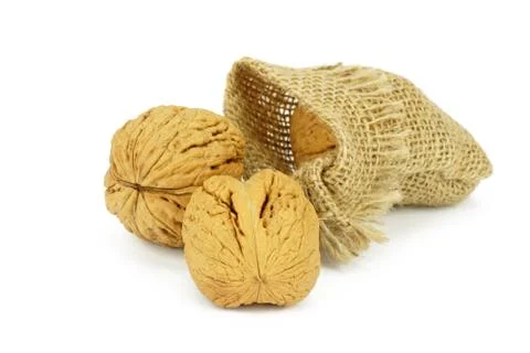 Walnuts on white background Stock Photos