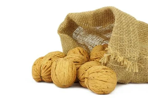 Walnuts on white background Stock Photos