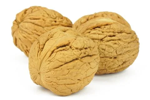 Walnuts on white background Stock Photos