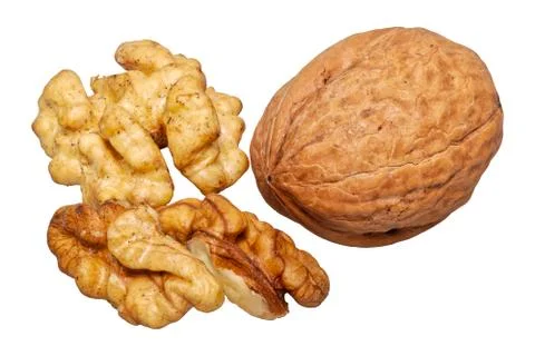 Walnuts on a white background 스톡 사진