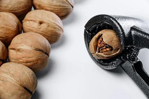 Walnuts on a white background. Foto stock