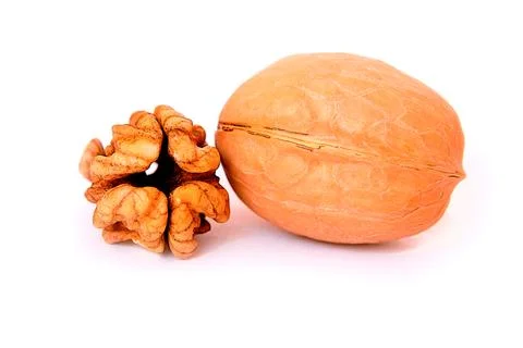 Walnuts on white background Stock Photos