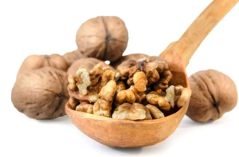 Walnuts on white background with soft shadow Stock Photos