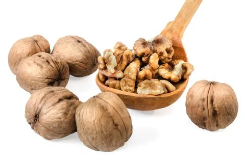 Walnuts on white background with soft shadow Stock Photos