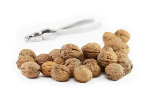 Walnuts on white Stock Photos
