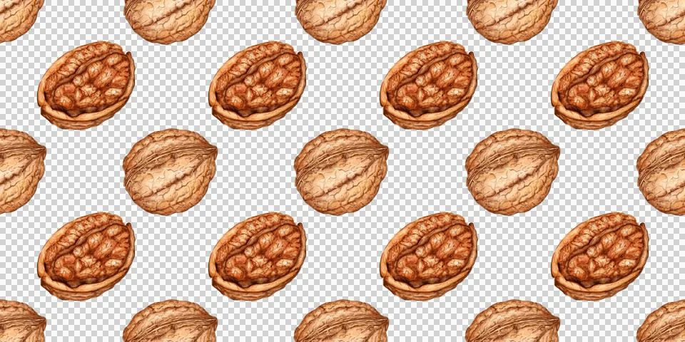 Walnuts whole and halves pattern watercolor Illustrazione stock