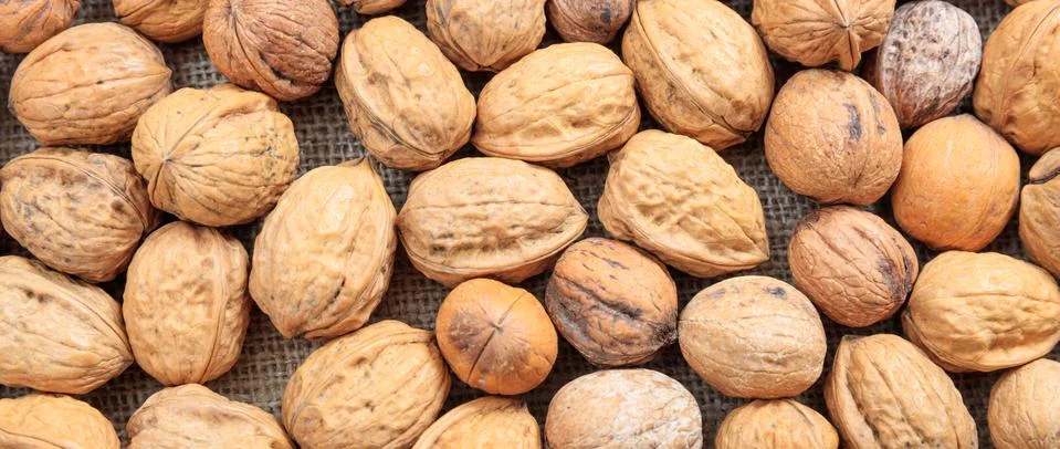 Walnuts whole with shells background, texture. Closeup view, banner Stock Photos
