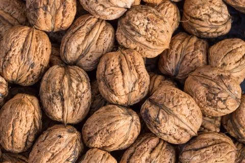 Walnuts. Whole walnuts background. Many walnuts close-up. Walnut texture. Stock Photos