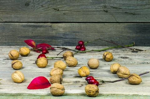 Walnuts witk rose hips on an old wooden table Stock Photos