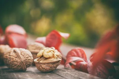 Walnuts on wooden table Stock Photos
