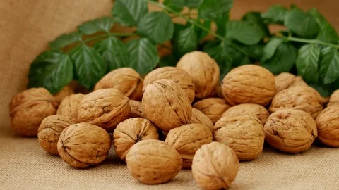 Walnuts,4k Close up shot,Linen Back ground, Slide equipment used.RL pan, Right s 스톡 동영상 85161299