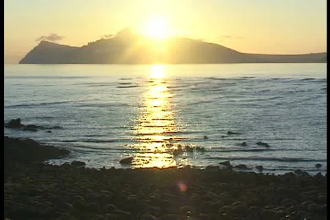 Walrus beach sunset water Stock Footage 11099447