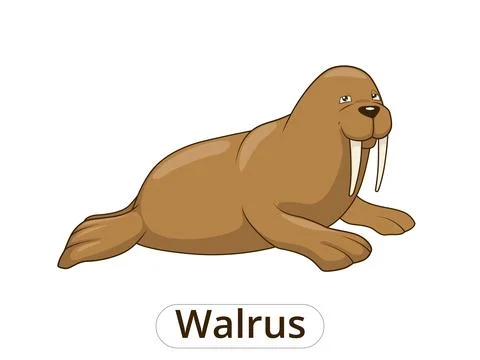 Walrus cartoon vector illustration Stock Illustration
