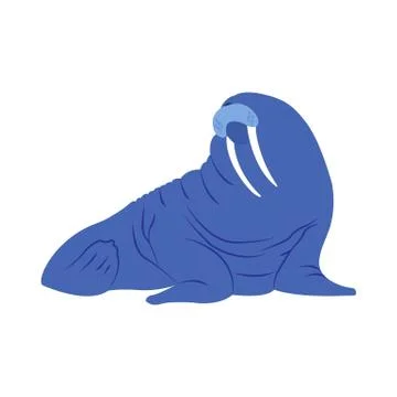 Walrus. Funny fat. Stock Illustration