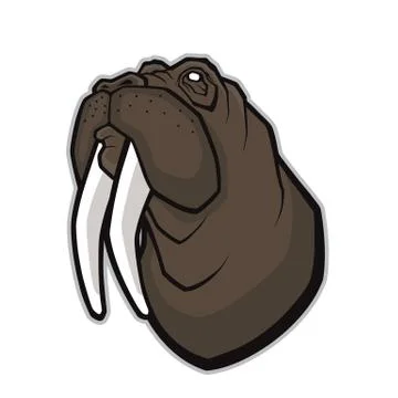 Walrus head mascot Stock Illustration