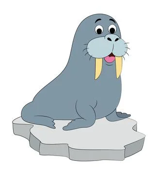 A walrus on ice vector illustration Stock Illustration