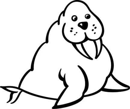 Walrus Stock Illustration