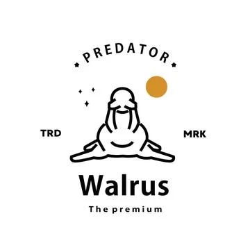 Walrus logo vector outline monoline art icon Stock Illustration