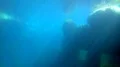 Walrus (Odobenus rosmarus) swimming and dive in dull dirty water 4k or 4k+ Resolution