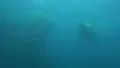 Walrus swimming underwater in natural arctic compound HD Footage