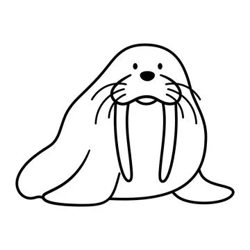Walrus Vector Outline Illustration Stock Illustration