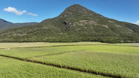 Walsh's Pyramid Vidéo 321387654